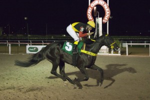 Pioneering Again 03.01