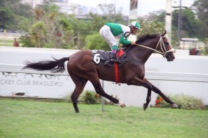 Regal Dyonisius 21.01