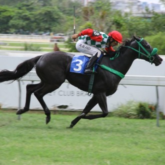 Sou Giovanna (Tiger Heart) e Regal Dyonisius (Pioneering) vencem na Gávea