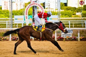 Zayana Clássico Mário de Morais