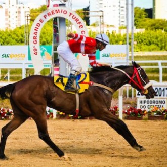 Zyana (Tiger Heart) fatura Clássico Mário Moraes no Cristal em fulminante atropelada