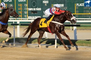 Diamondsprinter 18.02