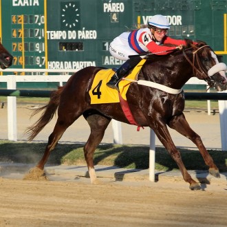 Diamondsprinter criado no Santarém conquista 9ª vitória na Gávea