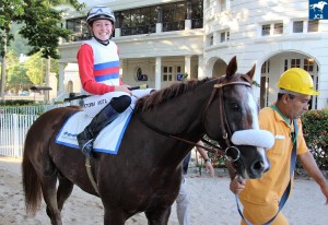 Diamondsprinter 18.02 joqueta e cavalariço