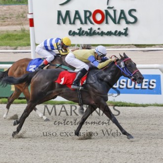 Glorious Flag (Tiger Heart) fatura 9ª vitória no Uruguai