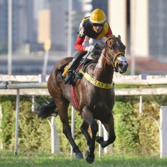 Holy Legal criada no Santarém vence Listed em CJ