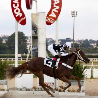 Isola Di Fiore (Pioneering) estréia com vitória aos 2 anos no Tarumã