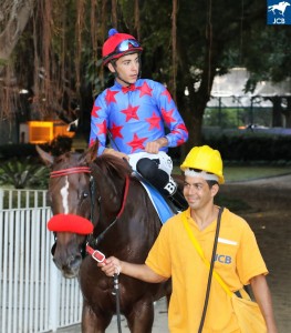 Jelicle 24.02 jóckey e cavaliço