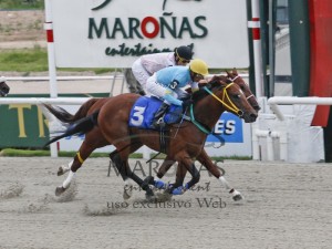 Oggigiorno GP Municipal 04.02