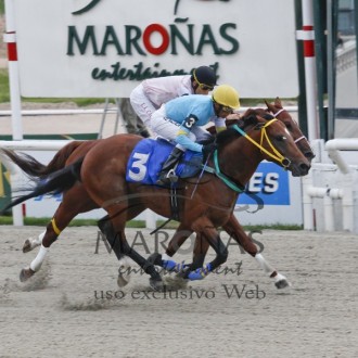 Oggigiorno (Pioneering) do Santarém vence G2 de 2400 metros em Maroñas