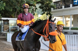 Power Potion 24.02 jóckey e cavalariço