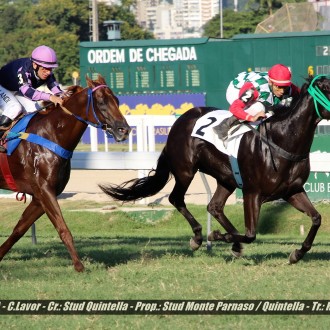 Sou Giovanna (Tiger Heart) vence mais um Handicap na Gávea