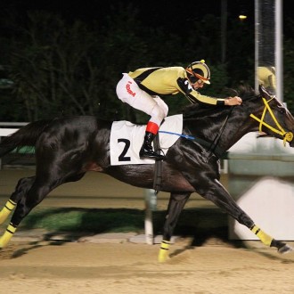 Buckbeak e Tetralogia ambos por Pioneering criados no Santarém ganham na Gávea e Cidade Jardim