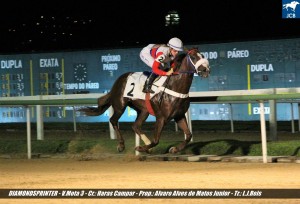 Diamondsprinter 21.03