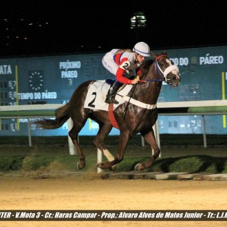 Diamondsprinter (criado no Santarém) vence sua 10ª carreira na Gávea