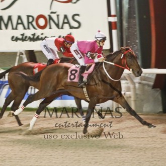 Filhos de Pioneering vencem no Uruguai