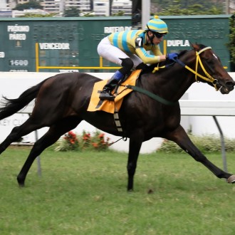 Evoque e Etzel ambos por Pioneering ganham na Gávea