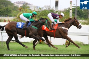 Fuerza Natural 19.03