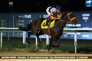 Hacienda Florida 21.03