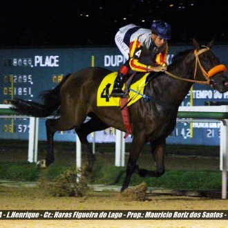 Hacienda Florida (Tiger Heart) vence a 7ª carreira na Gávea e In My Dreams (Tiger Heart) estréia com vitória no Tarumã