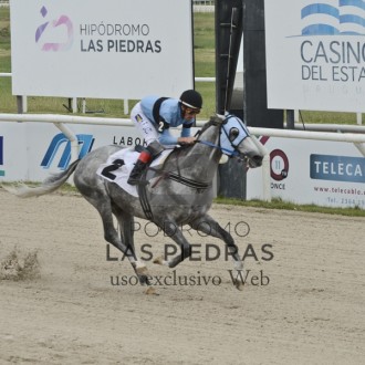 Onda Maior (Impression) criado no Santarém ganha 6ª carreira no Uruguai