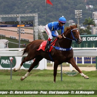 Perbene (Tiger Heart) do Santarém retorna com vitória muito fácil