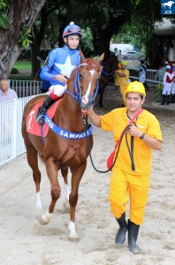 Perbene 25.03 apresentação