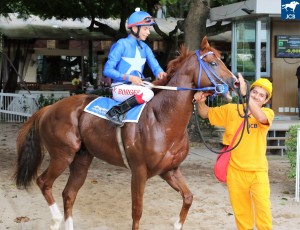 Perbene 25.03 jóckey e cavalariço