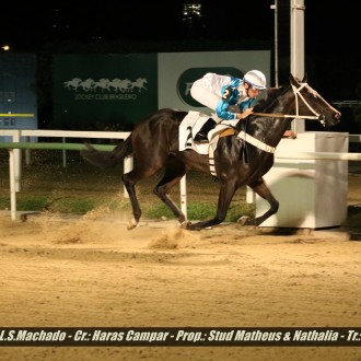 Sophia Tiger (Tiger Heart) criada no Santarém larga e acaba com a carreira