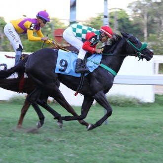 Sou Giovanna e Pianella ambas por Tiger Heart, ponta e dupla na Prova Especial Hypanis