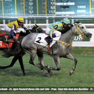 Ualana (impression) vence a segunda na Gávea