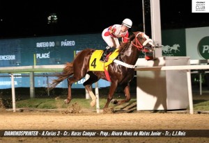 Diamondsprinter 24.04