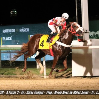 Diamondsprinter criado pelo Santarém para Hs Campar vence a 11ª carreira na Gávea
