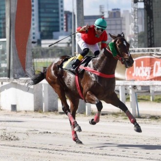 Dragão (Pioneering) permanece invicto e vence GP Quari Bravo (G3) em Cidade Jardim