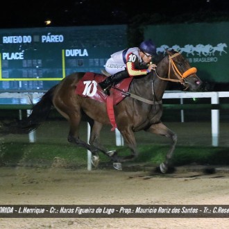 Hacienda Florida e Fascínio ambos por Tiger Heart vencem nas noturnas da Gávea e Tarumã
