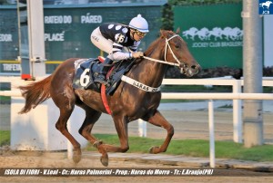 Isola di Fiori 31.03