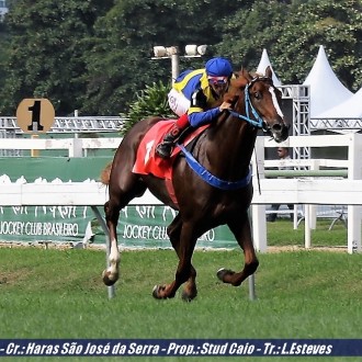 Kingvic e Emperor Cat ambos filhos de Pioneering vencem na Gávea