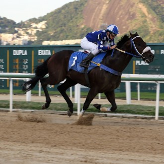 Of Mind (Tiger Heart) e Queen Sofia (Pioneering) vencem na Gávea