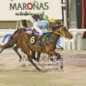Oggigiorno (Pioneering) do Santarém fatura a 7ª carreira em Maroñas e vence o Clásico Gran Premio General Artigas (G2)