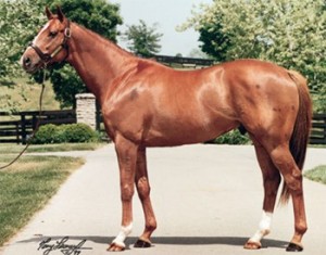 Pioneering matéria ABCPCC