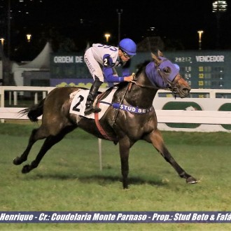 Regal Ares (Pioneering) fatura a 8ª vitória na Gávea e Fiorella di Tiger (Tiger Heart) ganha a 7ª carreira