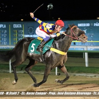 Sophia Tiger (Tiger Heart) criada no Santarém ganha a 6ª carreira e Isola di Siori (Pioneering) fatura a 2ª permanecendo invicta