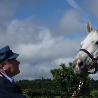 Matéria especial do Haras Santarém no site da Associação dos Criadores sobre o leilão de potros