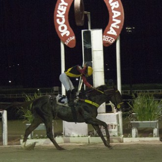 O ganhador clássico The Buteler (Pioneering) criado no Santarém retorna no Tarumã e vence a 5ª carreira com facilidade
