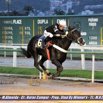 Doce Pimenta criada no Santarém vence a 4ª carreira na Gávea