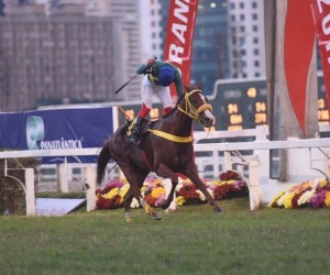 Fiorella di Tiger Prova Especial