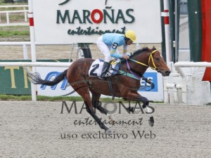 Oggigiorno 29.05 Cl Invasor