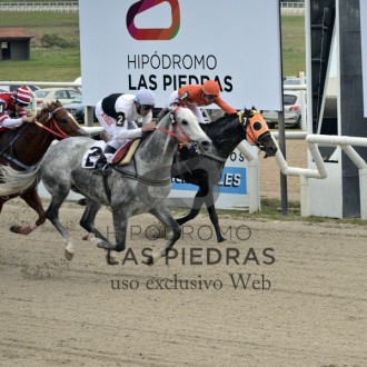 Onda Maior (Impression) criado no Santarém vence a 10ª carreira no Uruguai