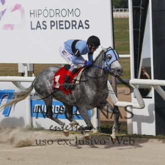 Onda Maior (Impression) criado no Santarém vence a 9ª carreira no Uruguai e Emperor Cat (Pioneering) vence a 6ª carreira na Gávea