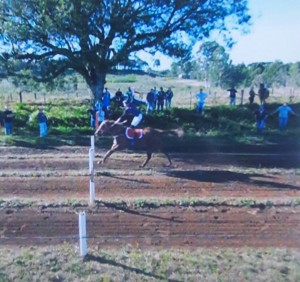 Our Reality 15.05 Clevelândia